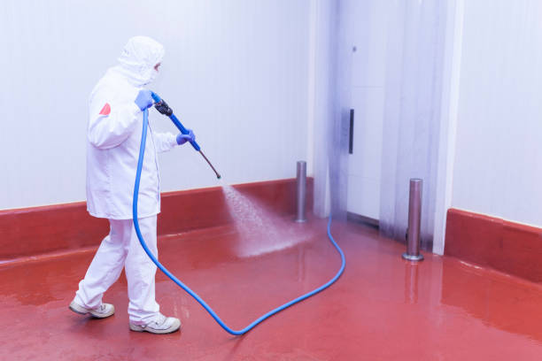 Best Driveway Pressure Washing  in Sebring, OH