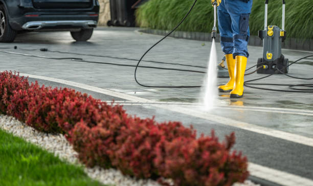 Trusted Sebring, OH Pressure Washing Services Experts